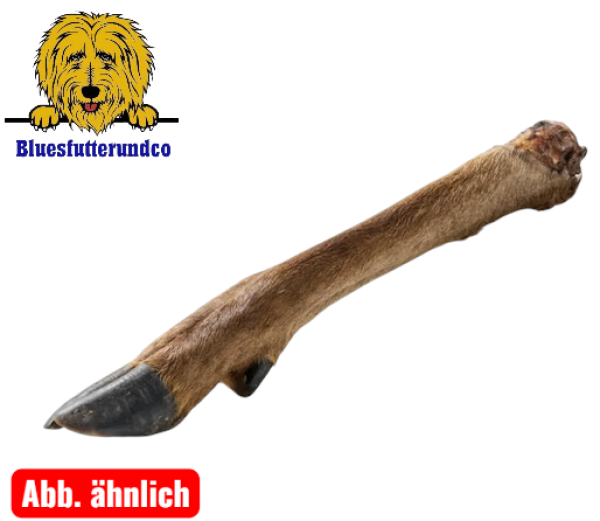 Hirsch Unterbein mit Fell (Stückweisse)